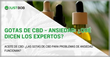 Gotas de CBD - Ansiedad: ¿Qué dicen los expertos?