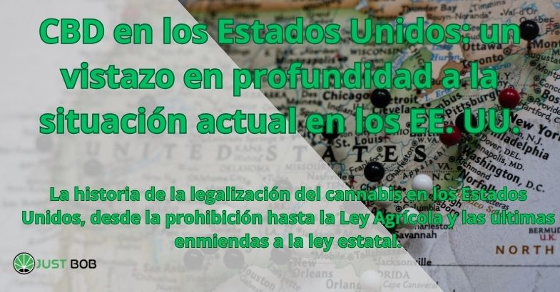 CBD en los Estados Unidos: un vistazo en profundidad a la situación actual en los EE. UU.