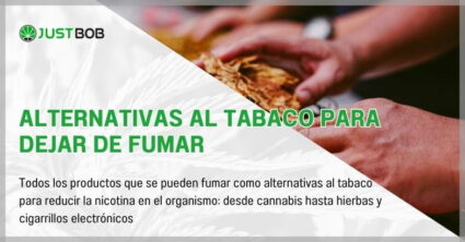 Alternativas al tabaco para dejar de fumar