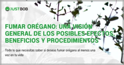 Fumar orégano: Una visión general de los posibles efectos, beneficios y procedimientos