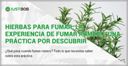 Hierbas para fumar. La experiencia de fumar romero