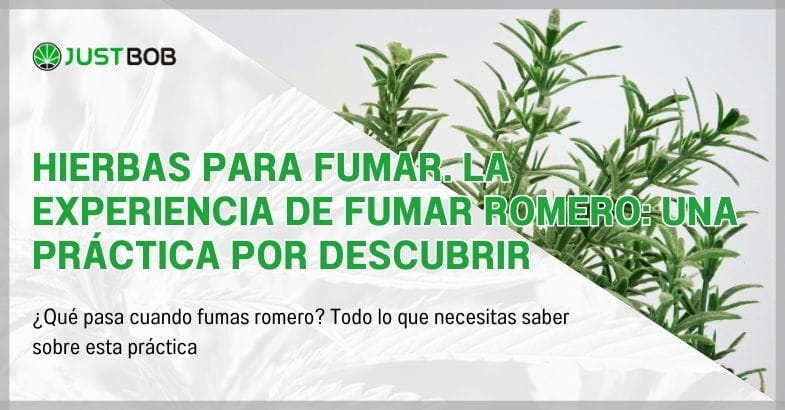 Hierbas para fumar. La experiencia de fumar romero