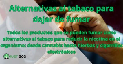 Alternativas al tabaco para dejar de fumar