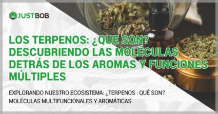 Los terpenos: ¿Que son?