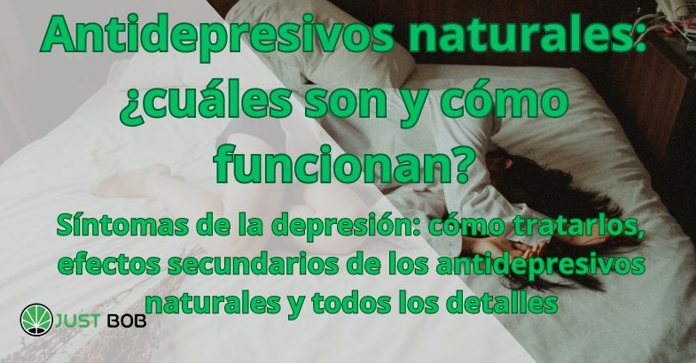 Antidepresivos naturales: ¿cuáles son y cómo funcionan?