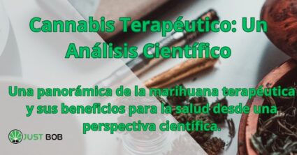 Cannabis Terapéutico: Un Análisis Científico
