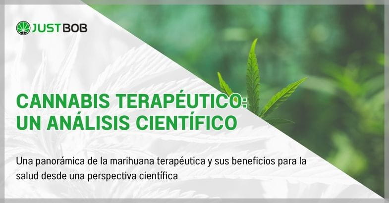 Cannabis Terapéutico: Un Análisis Científico