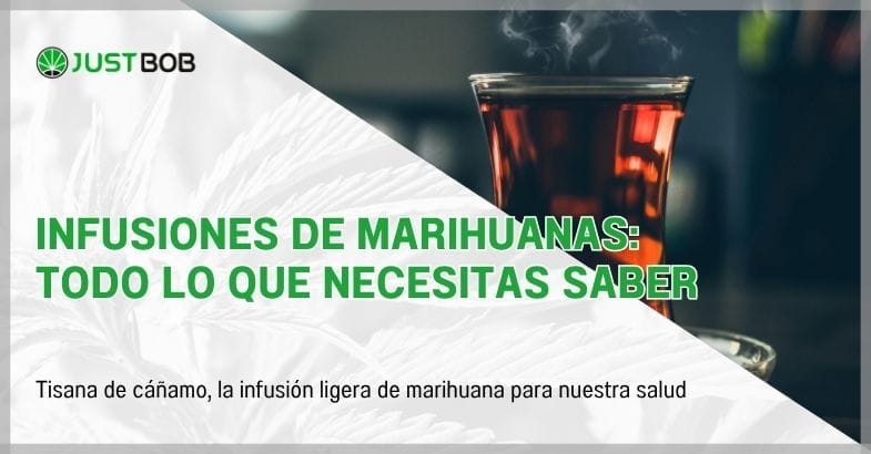 Infusiones de marihuanas: todo lo que necesitas saber