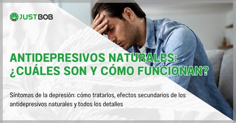 Antidepresivos naturales: ¿cuáles son y cómo funcionan?