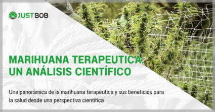 Marihuana terapeutica: un análisis científico