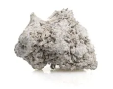 Primer plano de Marihuana CBD Critical super boost rica en de cultivo orgánico y sostenible Primer plano de Marihuana CBD Critical super boost rica en de cultivo orgánico y sostenible