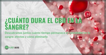 Descubramos cuanto dura el CBD en la sangre