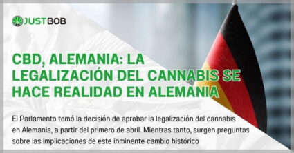 CBD, Alemania: la legalización del cannabis se hace realidad en Alemania