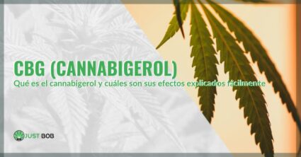 ¿Qué es el cannabigerol? | Justbob