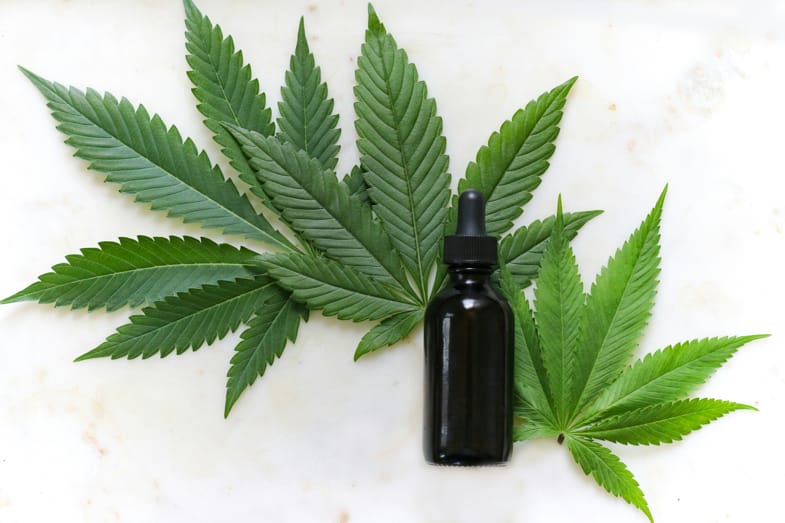 Hojas de cannabis y una botella de aceite de CBD | Justbob