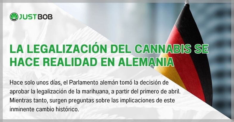 La legalización del cannabis se hace realidad en Alemania