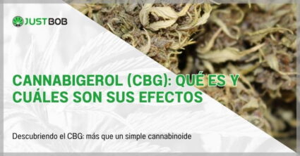 Cannabigerol (CBG): qué es y cuáles son sus efectos