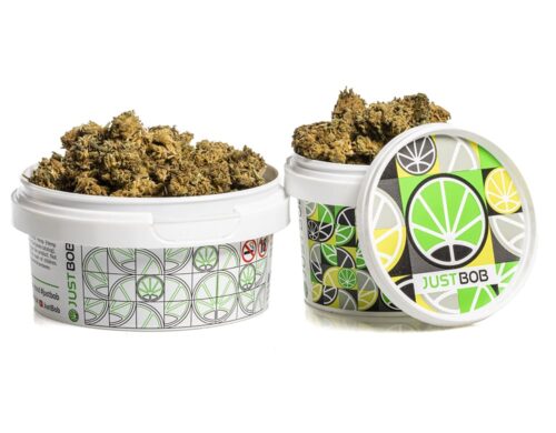 Cogollos de cbd Blueberry Small Buds