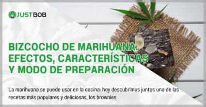 Bizcocho de marihuana: efectos, características y modo de preparación