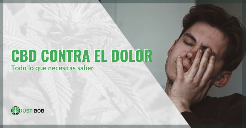 CBD contra el dolor | Justbob