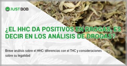 ¿El HHC da positivos en drogas, es decir en los análisis de drogas?
