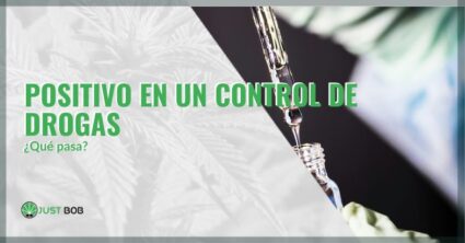 positivo en un control de drogas | just bob