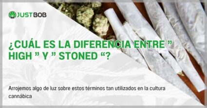 ¿Cuál es la diferencia entre ” high ” y ” stoned “?