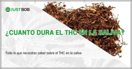 ¿Cuanto dura el THC en la saliva?