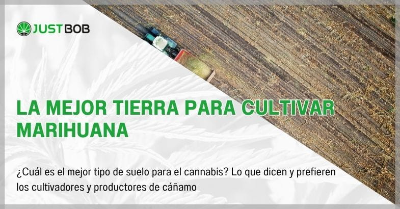 La mejor tierra para cultivar marihuana
