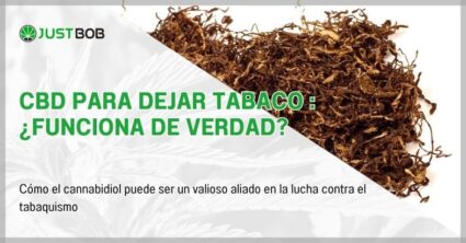 CBD para dejar tabaco : ¿funciona de verdad?