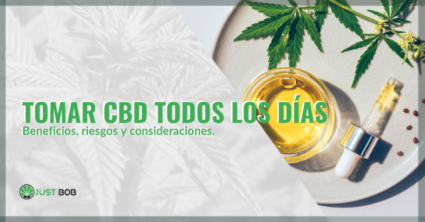 beneficios, riesgos y consideraciones beneficios, riesgos y consideraciones | just bob