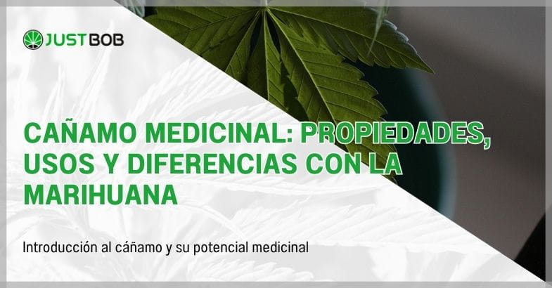 Cañamo medicinal: propiedades, usos y diferencias con la marihuana