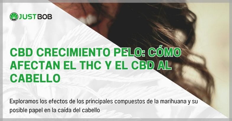 CBD crecimiento pelo: cómo afectan el THC y el CBD al cabello