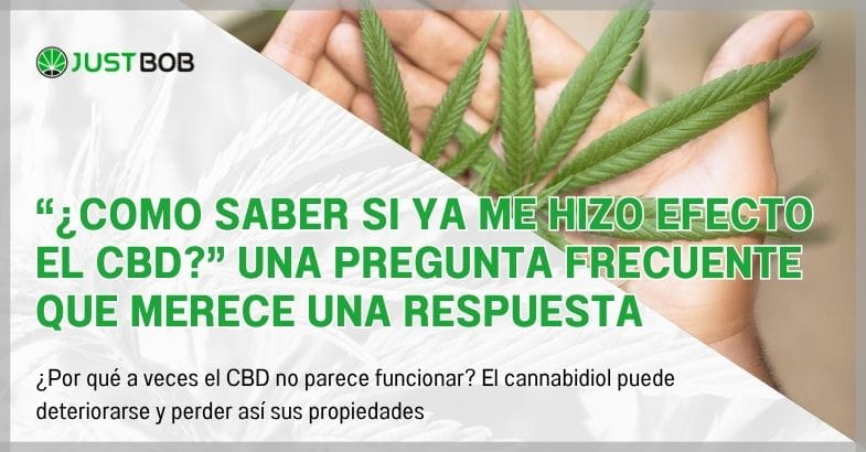 “¿Como saber si ya me hizo efecto el CBD?”