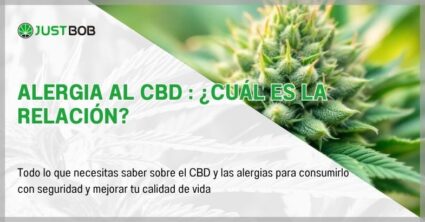 Alergia al CBD : ¿cuál es la relación?