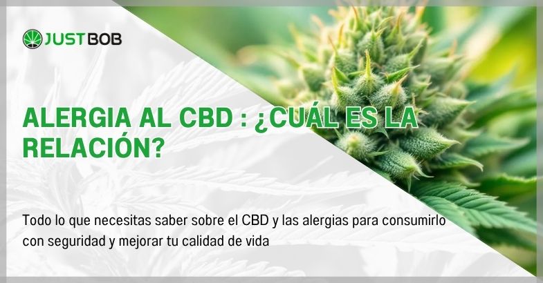 alergia-al-cbd Alergia al CBD : ¿cuál es la relación?