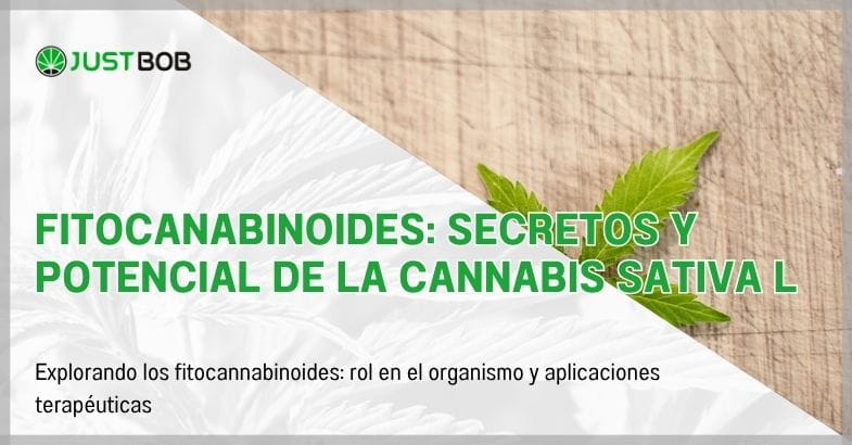 Fitocanabinoides: secretos y potencial de la Cannabis Sativa L