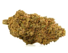 cogollos-cbd-double-cookies Cogollos CBD – Double Cookies