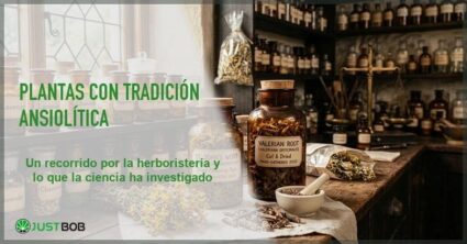 Plantas con tradición ansiolítica: lo que la ciencia ha investigado