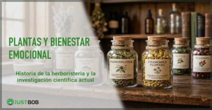Plantas para el bienestar emocional: tradición y ciencia
