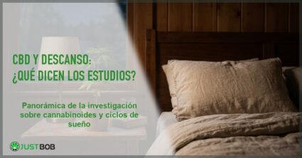Escena nocturna con almohada y una planta de canamo sobre una mesita de noche con luz suave