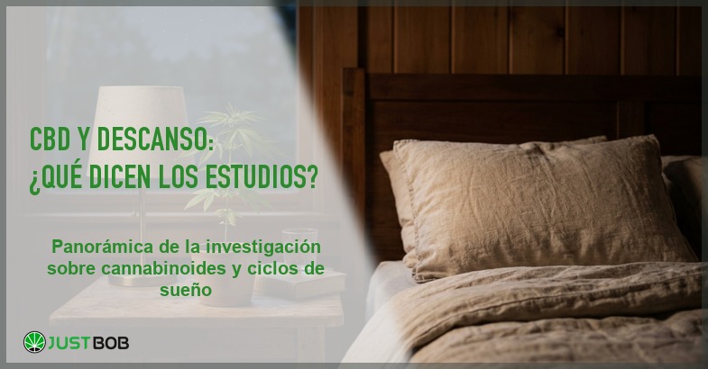 Escena nocturna con almohada y una planta de canamo sobre una mesita de noche con luz suave