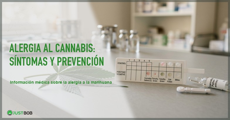 Tira reactiva de prueba de alergia al polen junto a hojas de cannabis sativa en una superficie de clinica medica