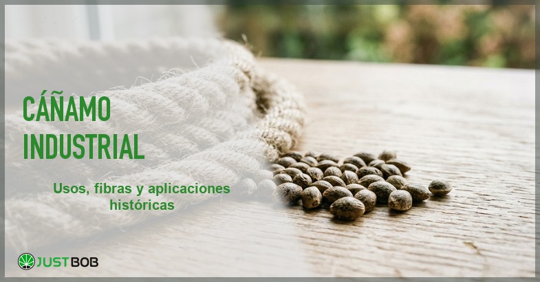 Fibra de cáñamo industrial trenzada junto a semillas de cáñamo sobre una mesa de madera clara