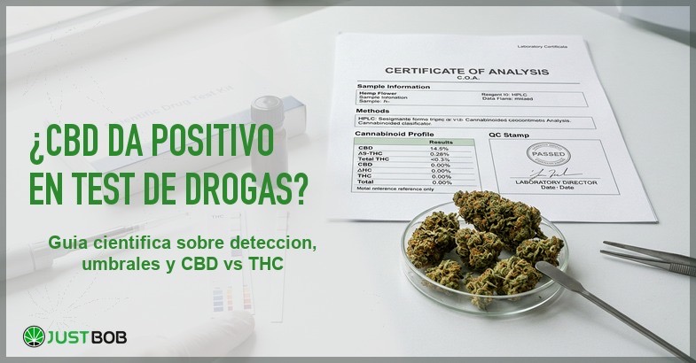 CBD y test de drogas: guía sobre detección de cannabinoides y umbrales