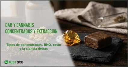 Dab y cannabis: concentrados, métodos de extracción y análisis científico