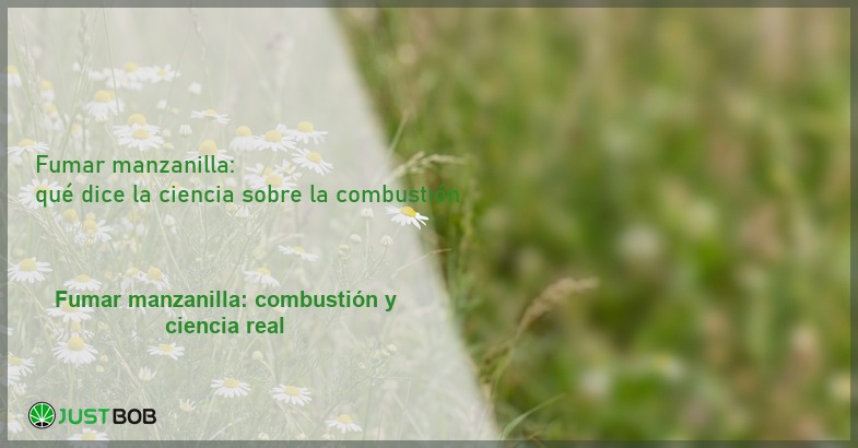 Fumar manzanilla: qué dice la ciencia sobre la combustión