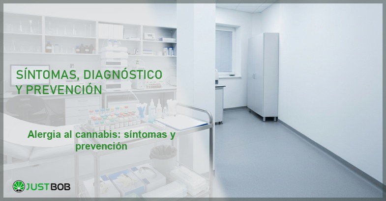 Consulta de alergología con camilla, equipo de pruebas cutáneas y armarios clínicos, banner del artículo de Justbob sobre alergia al cannabis