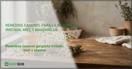 Remedios caseros para la garganta irritada: miel y manzanilla