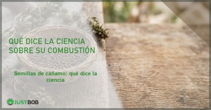 Cesta de mimbre con semillas de cáñamo y flores secas sobre madera, banner del artículo de Justbob sobre combustión